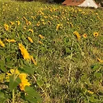 Dans Le Pre Hesdin L'abbe Holiday home Carly