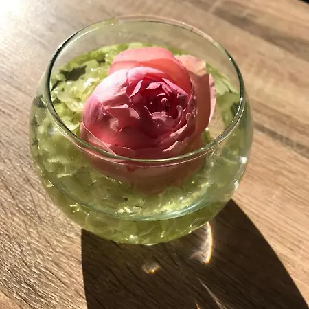 Dans Le Pre Hesdin L'abbe * Carly