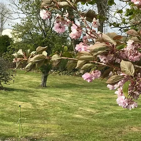 Dans Le Pré Hesdin L'abbé Carly