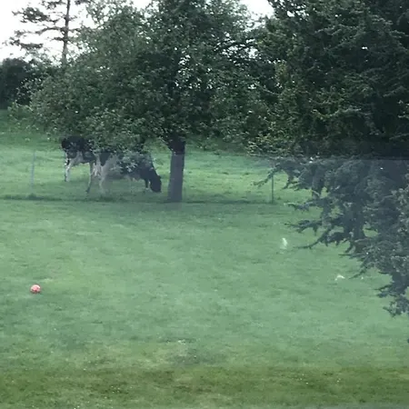 Dans Le Pre Hesdin L'abbe