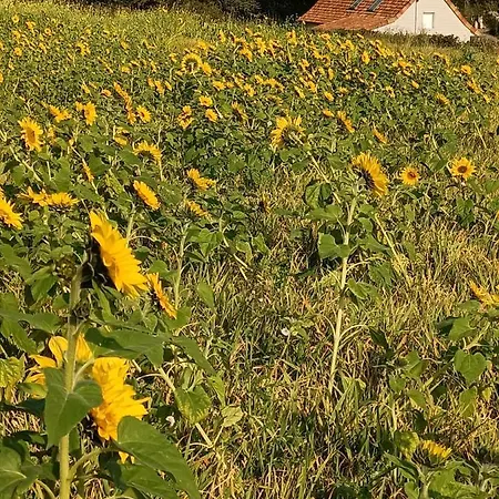 Dans Le Pré Hesdin L'abbé Hébergement de vacances Carly