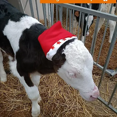 Dans Le Pré Hesdin L'abbé Hébergement de vacances