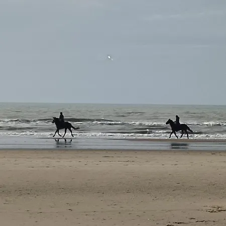 Dans Le Pre Hesdin L'abbe