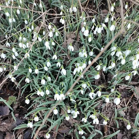 Hébergement de vacances Dans Le Pré Hesdin L'abbé Carly