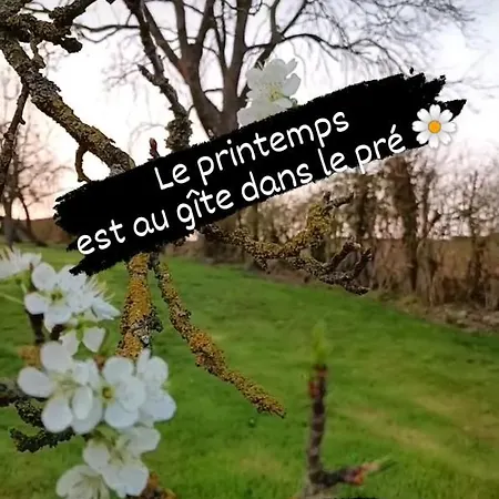 Vakantiehuis Dans Le Pre Hesdin L'abbe Carly