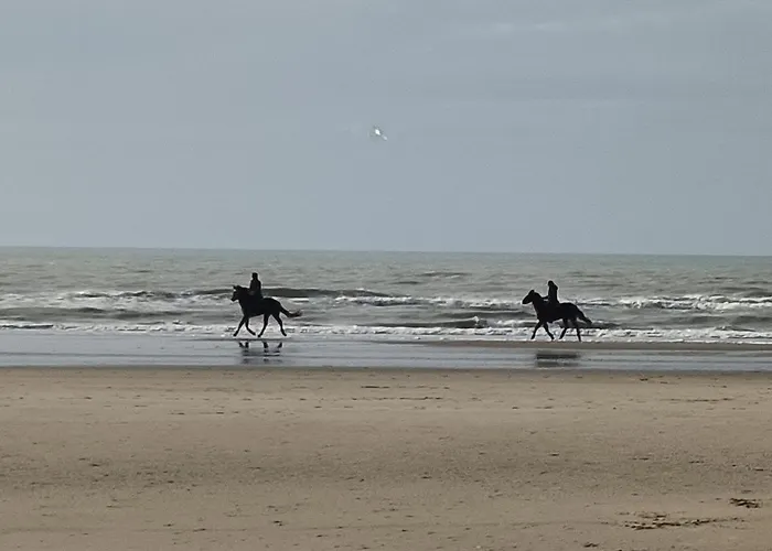 Dans Le Pre Hesdin L'abbe